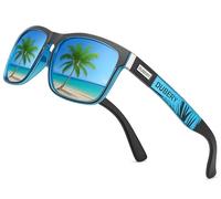 DUBERY Homme Polarisées Sport Lunettes de Soleil en Plein air d'équitation Lunettes de Pêche d'été, Bleu