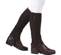 Dublin - Demi-chaps - Unisexe (L) (Marron) - UTWB850 Marron