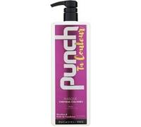 Ducastel Pro Masque Punch Ta Couleur Ducastel Pro 500ml