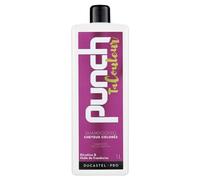 Shampooing Punch Ta Couleur Cheveux Colorés 1L - Ducastel