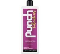 Ducastel Pro Shampooing Punch Ta Couleur Ducastel Pro 1L
