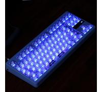 DucKey Ensemble De Touches Transparentes pour PC, Profil Cherry/Rétroéclairées/RGB Keycaps pour Clavier Mécanique Personnalisé(Transparent)