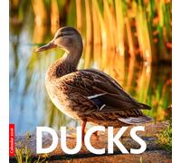 Ducks 2026 Calendar: Beautiful Ducks in Stunning Photography - A Year of Waterfowl and Nature’s Charm