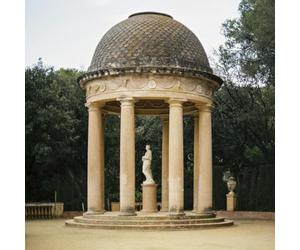 Ducks Ltd - Harms Way LP [Vinyl] [Import]