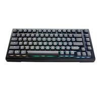 Ducky Clavier mécanique Tinker65 75 % RGB Black MX Speed Silver (ES)