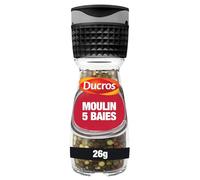 DUCROS - Poivre Aromatique pour Rehausser Vos Plats, Saveur Intense et Fraîcheur (Flacon 24g) - Le Lot De 4