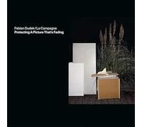 Dudek, Fabian - Protecting a Picture That's Fading [Import]