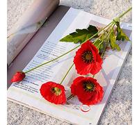DUDNJC Lot de 10 fleurs artificielles de coquelicots rouges, 58,4 cm de long, toucher réaliste, en soie avec feuilles pour mariage, vacances, bouquet de mariée, décoration de fête