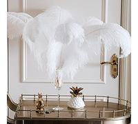 DUDNJC Lot de 10 plumes d'autruche blanches naturelles en vrac, longues queues pour décoration de fête, mariage, centre de table, festival, vases, décoration de fête de Noël, décoration d'intérieur
