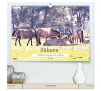 Dülmen - Wildpferde, Burgen und Schlösser (hochwertiger Premium Wandkalender 2026 DIN A2 quer), Kunstdruck in Hochglanz: Dülmen ist bekannt für seine ... befinden sich Schlösser und Wasserburgen