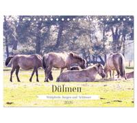 Dülmen - Wildpferde, Burgen und Schlösser (Tischkalender 2026 DIN A5 quer), CALVENDO Monatskalender: Dülmen ist bekannt für seine große ... befinden sich Schlösser und Wasserburgen