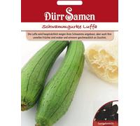 Dürr Samen Courge Éponge "Luffa" - 10 Graines