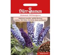 Dürr Samen Dauphinelle des Champs - 1 sachet