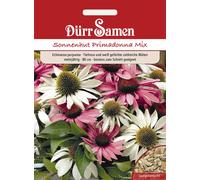Dürr Samen Echinacea Primadonna Mix - 1 sachet