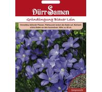 Dürr Samen Engrais vert "Lin bleu" - 60 g