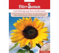 Dürr Samen Engrais Vert - Tournesol - 50 g