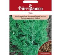 Dürr Samen Graines d’Aneth "Feuillage Abondant" - 1.500 Graines