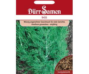 Dürr Samen Graines d’Aneth "Feuillage Abondant" - 1.500 Graines
