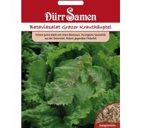 Dürr Samen Graines de Laitue Pommée "Batavia Grazer Krauthäuptl" - 200 Graines