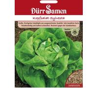 Dürr Samen Graines de Laitue Pommée "Sylvesta" - 150 Graines