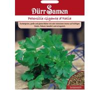 Dürr Samen Graines de persil 'Gigante d'Italia' - 1.500 Graines