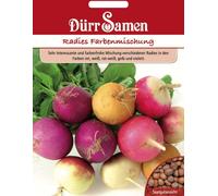 Dürr Samen Graines de Radis "Mélange de Couleurs" - 500 Graines