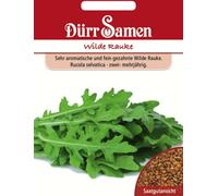 Dürr Samen Graines de Roquette Sauvage - 3.000 Graines
