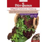 Dürr Samen Graines de salade à couper "Misticanza" - 1.000 Graines
