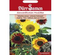 Dürr Samen Graines de Tournesol "Musicbox" - 60 Graines