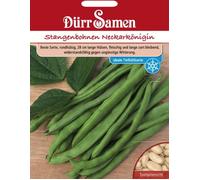 Dürr Samen Haricot à rames « Neckarkönigin » - 100 Graines