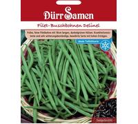 Dürr Samen Haricot nain 'Delinel' - 150 Graines
