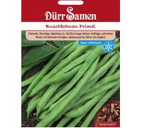 Dürr Samen Haricot nain 'Primel' - 100 Graines