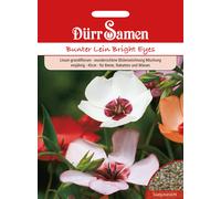Dürr Samen Lin Multicolore Bright Eyes - 1 sachet