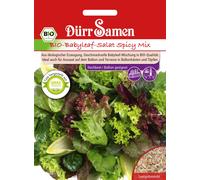 Dürr Samen Mélange de Jeunes Pousses Bio 'Spicy Mix' - 1 sachet