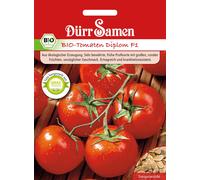 Dürr Samen Tomate Bio "Diplom" - 1 sachet