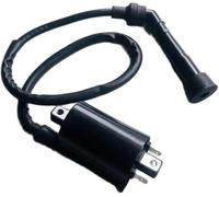 DUEYUU Interrupteur d'allumage de Moto Bobine d'allumage de pour Moto avec Fil et Capuchon de Bougie pour Suzuki GN250 GN 250 GN250 250 300 250CC GN250