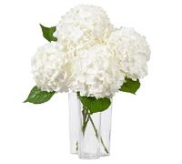 DuHouse Lot de 3 Grandes Fleurs d'hortensia artificielles en Latex au Toucher réaliste pour Bouquets de Maison, Mariage, centres de Table, fête, Salon (Blanc)
