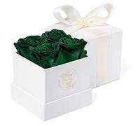 DuHouse Lot de 4 boîtes de roses éternelles préservées pour Saint Valentin, anniversaire, fête des mères, Thanksgiving, Noël (vert chasse)