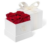 DuHouse Lot de 4 roses éternelles préservées pour Saint-Valentin, anniversaire, fête des mères, Thanksgiving, Noël (rouge)