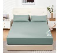 DUJUIKE Drap-Housse ImperméAble, Protège-Matelas, pour Chats, Chiens, Enfants, Convient aux Matelas jusqu'à 40 cm d'épaisseur, Hypoallergénique, Ourlet élastique (Vert,200x220cm)