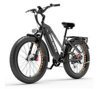 DUKAWEY DM530 Powerful High-Performance Fat E-Bike Conquer Any Terrain(gris)