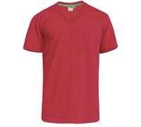 Duke - T-shirt D555 SIGNATURE - Homme (DC167)