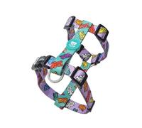 DUKIER - Harnais Classique pour Chien, Gilet Anti-Tirage, Réglable et en Forme de H pour Animaux de Compagnie, Design Gummy Bears Taille S