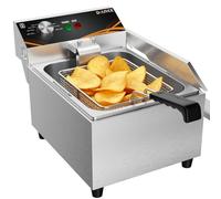 DULNICE 6L Friteuse Électrique Professionnelle avec Thermostat 60-200°C | Acier Inoxydable Friteuse Électrique Commerciale avec Panier et Couvercle, pour Maison, Restaurant et Fast-Food, 3000W