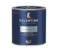 Dulux Valentine - La VALENTINE - Peinture intérieure en phase aqueuse de haute qualité - Couleur intense & pouvoir couvrant élevé - Mat Velouté Équinoxe Paisible 0,5 L