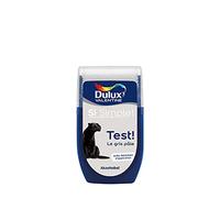Dulux Valentine Peinture Si Simple - Testeur Couleur le Gris Pâle 30 ml