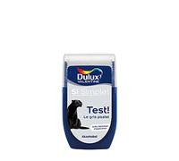 Dulux Valentine Peinture Si Simple - Testeur Couleur le Gris Pastel 30 ml