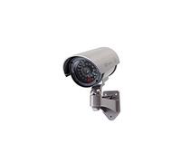 DUMCB40GY Caméra de Sécurité Factice, Tube, IP44, Gris
