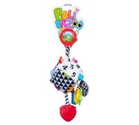 DUMEL Sensory Pendant - Cube magique pour le développement des sens de votre enfant