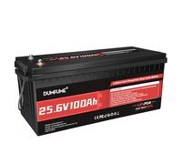 Dumfume Batterie Lithium Lifepo4 24V 100Ah - 4000+ Cycles, BMS IntéGré 100A, Parfaite Pour Camping-Car, Solaire, Hors-RéSeau, Alimentation De Secours Domestique